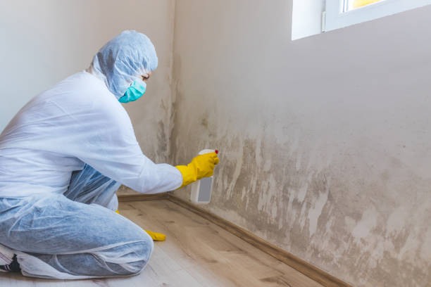 Licensed Mold Remediation service in Norcross, GA - WQB Mold Removal