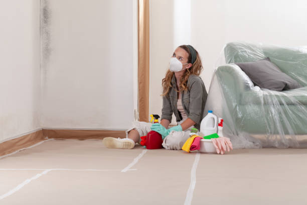 Reliable Mold Remediation contractor in Norcross, GA by WQB Mold Removal